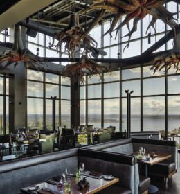 Spend a Day in Bellevue